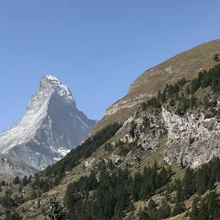 Joy - Matterhorn View Zermatt