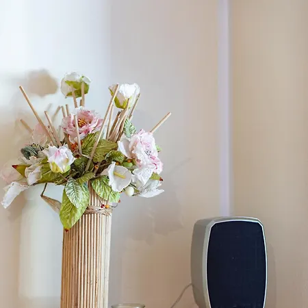 Joy - Matterhorn View